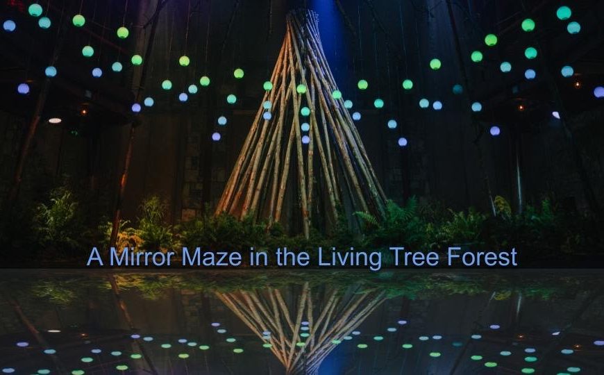 Forest of Imagination Living Tree Mirror Maze | Reflections in nature